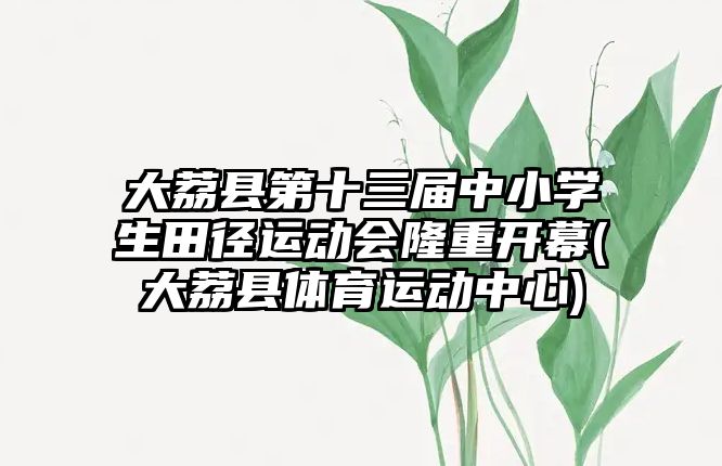 大荔縣第十三屆中小學(xué)生田徑運動會隆重開幕(大荔縣體育運動中心)