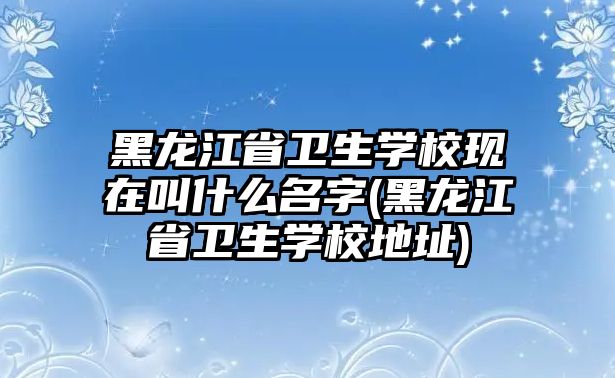 黑龍江省衛(wèi)生學校現(xiàn)在叫什么名字(黑龍江省衛(wèi)生學校地址)