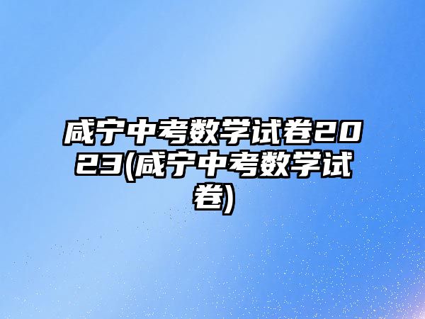 咸寧中考數(shù)學試卷2023(咸寧中考數(shù)學試卷)