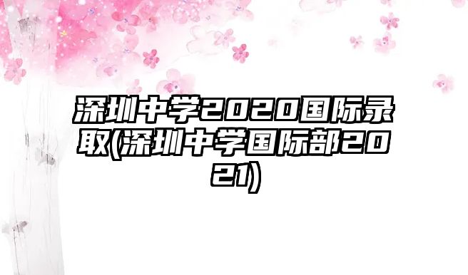 深圳中學(xué)2020國(guó)際錄取(深圳中學(xué)國(guó)際部2021)