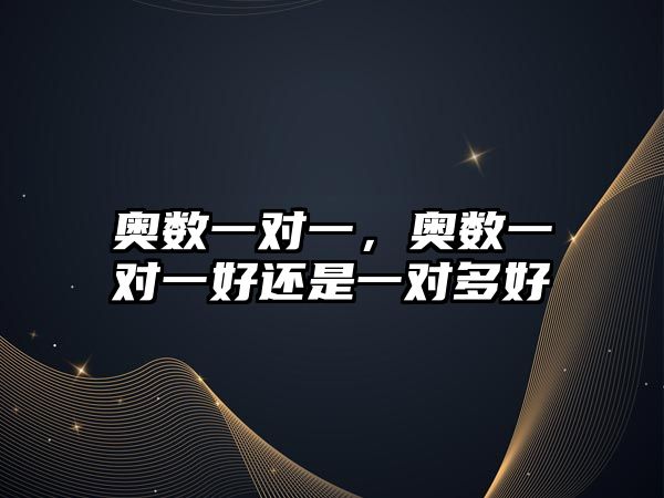 奧數(shù)一對一，奧數(shù)一對一好還是一對多好