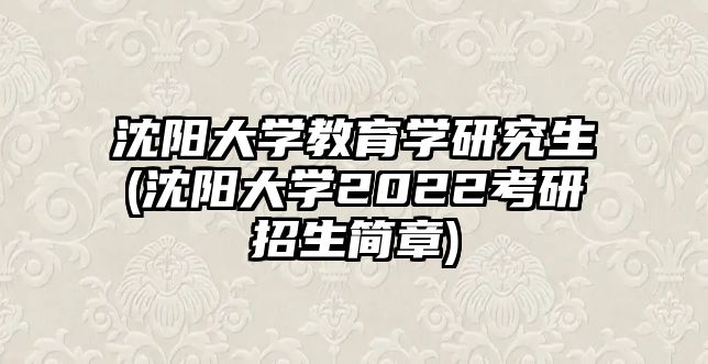 沈陽大學教育學研究生(沈陽大學2022考研招生簡章)