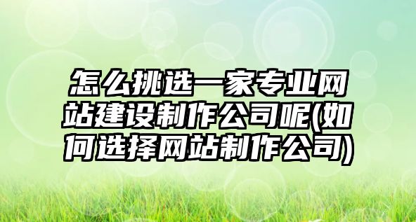 怎么挑選一家專業(yè)網站建設制作公司呢(如何選擇網站制作公司)