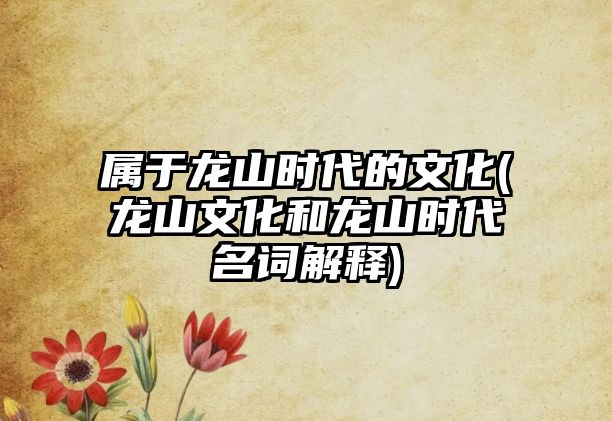 屬于龍山時代的文化(龍山文化和龍山時代名詞解釋)