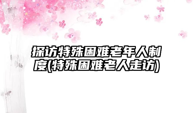 探訪特殊困難老年人制度(特殊困難老人走訪)