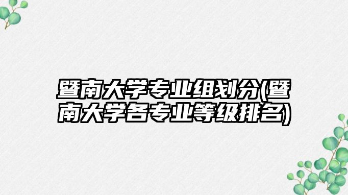 暨南大學專業(yè)組劃分(暨南大學各專業(yè)等級排名)