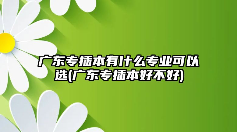 廣東專插本有什么專業(yè)可以選(廣東專插本好不好)