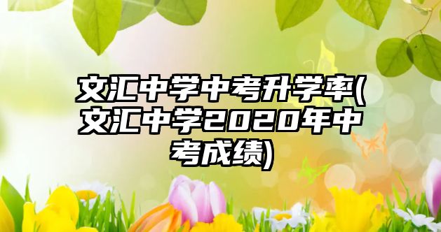 文匯中學中考升學率(文匯中學2020年中考成績)