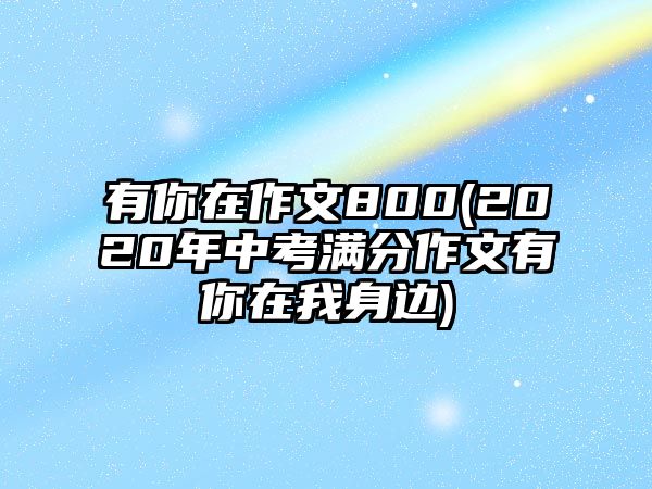 有你在作文800(2020年中考滿分作文有你在我身邊)