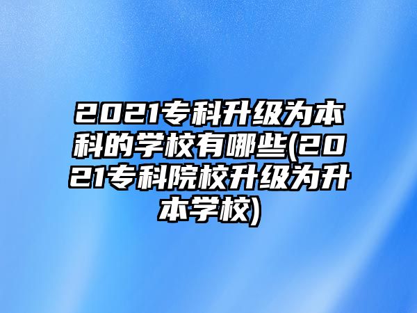 2021?？粕墳楸究频膶W(xué)校有哪些(2021?？圃盒Ｉ墳樯緦W(xué)校)