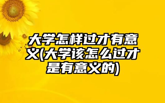 大學怎樣過才有意義(大學該怎么過才是有意義的)