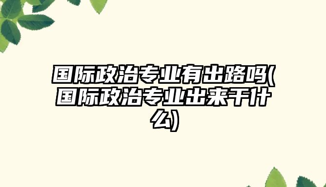 國(guó)際政治專業(yè)有出路嗎(國(guó)際政治專業(yè)出來干什么)