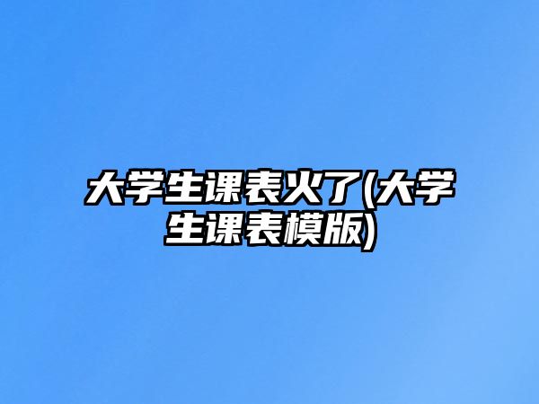 大學(xué)生課表火了(大學(xué)生課表模版)