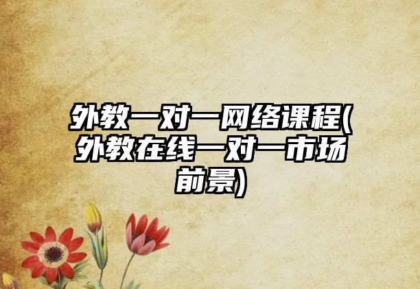 外教一對(duì)一網(wǎng)絡(luò)課程(外教在線一對(duì)一市場(chǎng)前景)