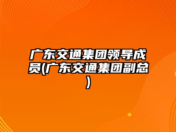 廣東交通集團(tuán)領(lǐng)導(dǎo)成員(廣東交通集團(tuán)副總)