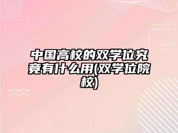 中國高校的雙學位究竟有什么用(雙學位院校)