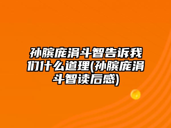 孫臏龐涓斗智告訴我們什么道理(孫臏龐涓斗智讀后感)