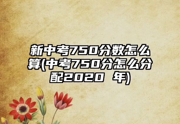 新中考750分數(shù)怎么算(中考750分怎么分配2020 年)