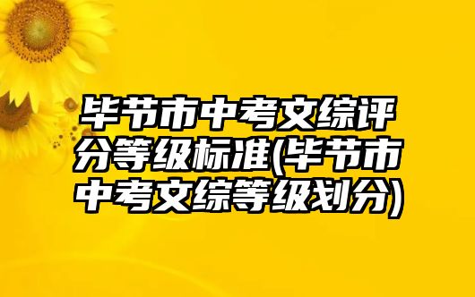 畢節(jié)市中考文綜評(píng)分等級(jí)標(biāo)準(zhǔn)(畢節(jié)市中考文綜等級(jí)劃分)