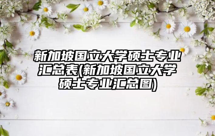 新加坡國立大學碩士專業(yè)匯總表(新加坡國立大學碩士專業(yè)匯總圖)