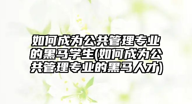 如何成為公共管理專業(yè)的黑馬學生(如何成為公共管理專業(yè)的黑馬人才)