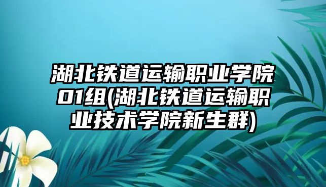 湖北鐵道運輸職業(yè)學(xué)院01組(湖北鐵道運輸職業(yè)技術(shù)學(xué)院新生群)