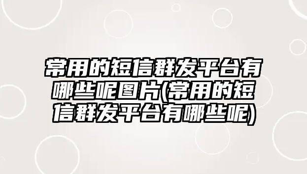 常用的短信群發(fā)平臺(tái)有哪些呢圖片(常用的短信群發(fā)平臺(tái)有哪些呢)