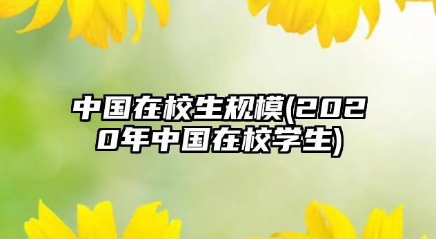 中國在校生規(guī)模(2020年中國在校學生)