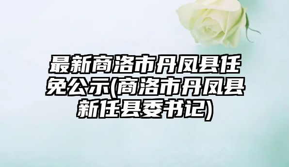 最新商洛市丹鳳縣任免公示(商洛市丹鳳縣新任縣委書記)