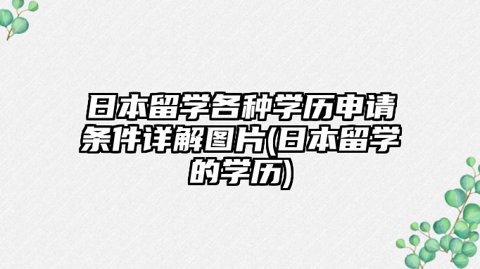 日本留學各種學歷申請條件詳解圖片(日本留學的學歷)