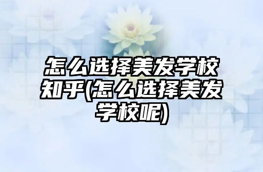 怎么選擇美發(fā)學校知乎(怎么選擇美發(fā)學校呢)