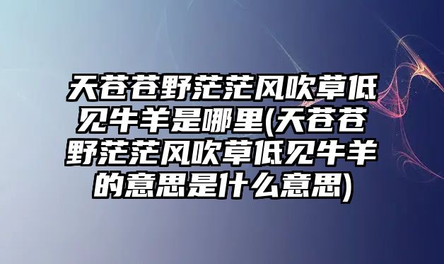 天蒼蒼野茫茫風(fēng)吹草低見(jiàn)牛羊是哪里(天蒼蒼野茫茫風(fēng)吹草低見(jiàn)牛羊的意思是什么意思)