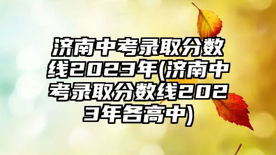 濟(jì)南中考錄取分?jǐn)?shù)線2023年(濟(jì)南中考錄取分?jǐn)?shù)線2023年各高中)