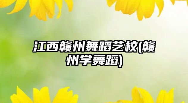 江西贛州舞蹈藝校(贛州學舞蹈)