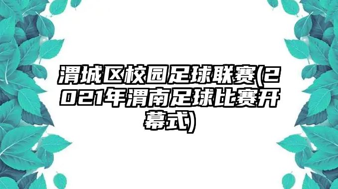 渭城區(qū)校園足球聯(lián)賽(2021年渭南足球比賽開幕式)