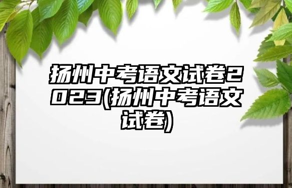 揚(yáng)州中考語文試卷2023(揚(yáng)州中考語文試卷)