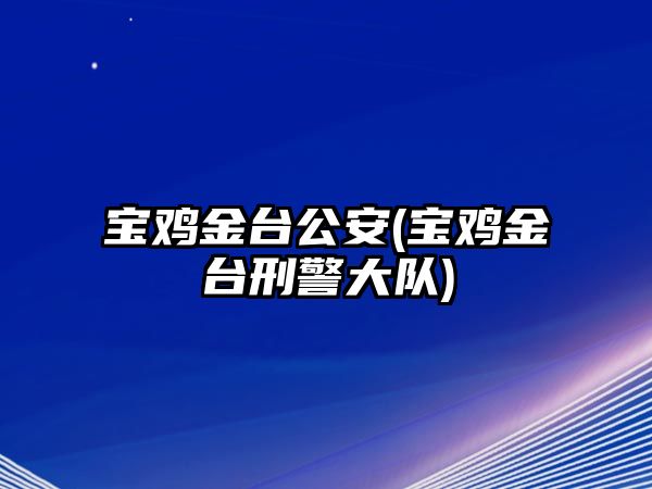 寶雞金臺公安(寶雞金臺刑警大隊(duì))