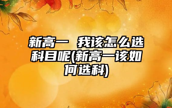 新高一 我該怎么選科目呢(新高一該如何選科)