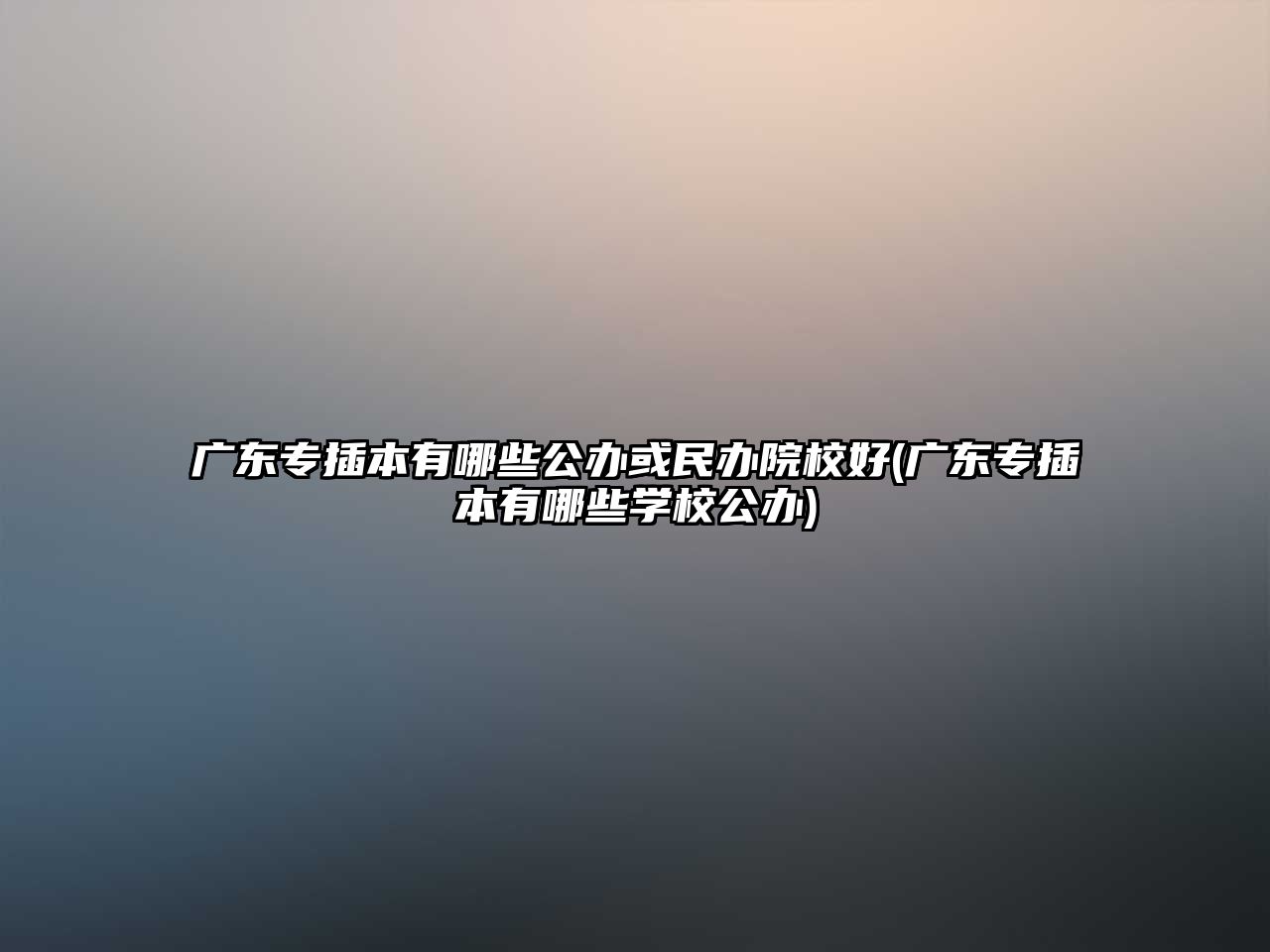 廣東專插本有哪些公辦或民辦院校好(廣東專插本有哪些學校公辦)