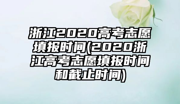 浙江2020高考志愿填報時間(2020浙江高考志愿填報時間和截止時間)