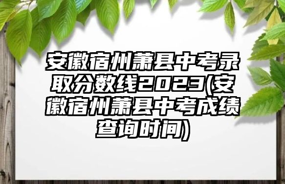 安徽宿州蕭縣中考錄取分?jǐn)?shù)線2023(安徽宿州蕭縣中考成績(jī)查詢時(shí)間)