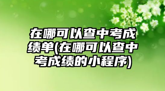 在哪可以查中考成績單(在哪可以查中考成績的小程序)