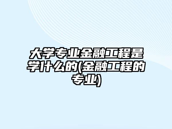 大學(xué)專業(yè)金融工程是學(xué)什么的(金融工程的專業(yè))