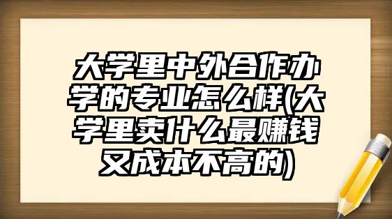 大學(xué)里中外合作辦學(xué)的專業(yè)怎么樣(大學(xué)里賣什么最賺錢又成本不高的)