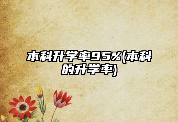 本科升學(xué)率95%(本科的升學(xué)率)