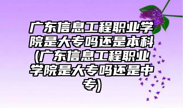 廣東信息工程職業(yè)學院是大專嗎還是本科(廣東信息工程職業(yè)學院是大專嗎還是中專)