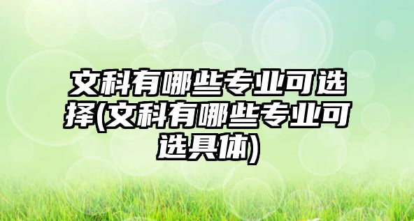 文科有哪些專業(yè)可選擇(文科有哪些專業(yè)可選具體)