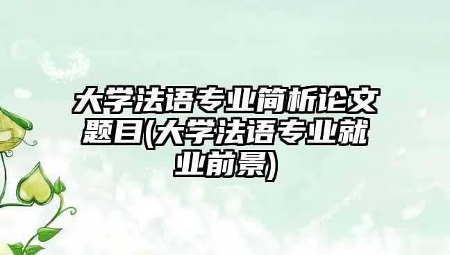 大學法語專業(yè)簡析論文題目(大學法語專業(yè)就業(yè)前景)