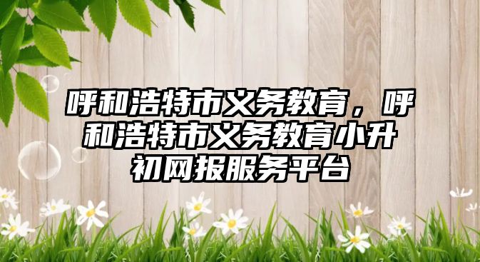 呼和浩特市義務教育，呼和浩特市義務教育小升初網(wǎng)報服務平臺