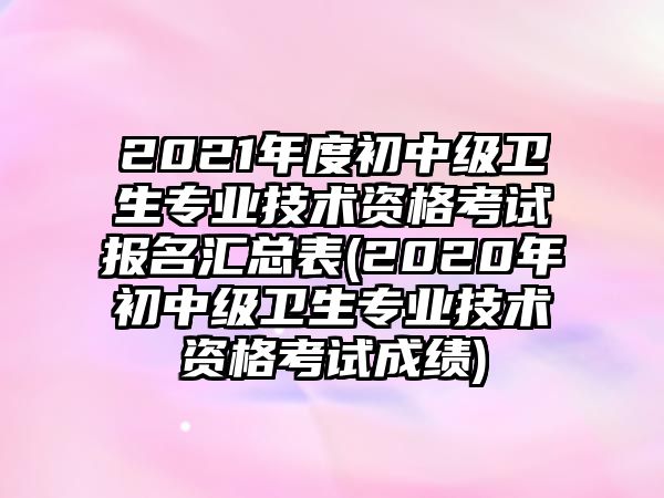 2021年度初中級衛(wèi)生專業(yè)技術資格考試報名匯總表(2020年初中級衛(wèi)生專業(yè)技術資格考試成績)